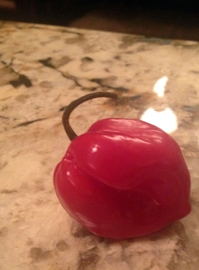 jen's habanero