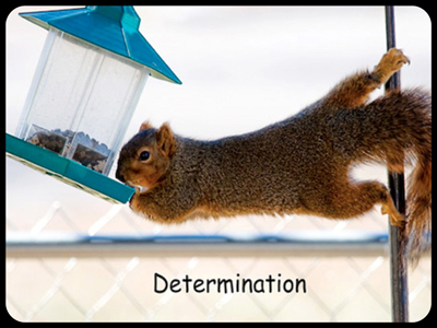 determination