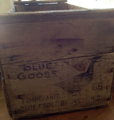 Blue Goose Growers Inc