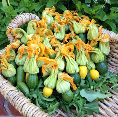 baby squash blossoms